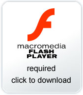 Flash Player is required to view this content, click to download